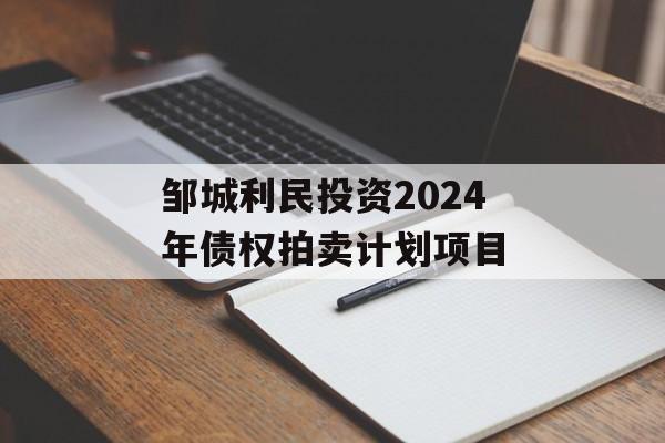 邹城利民投资2024年债权拍卖计划项目