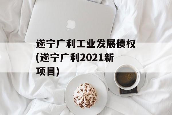 遂宁广利工业发展债权(遂宁广利2021新项目)