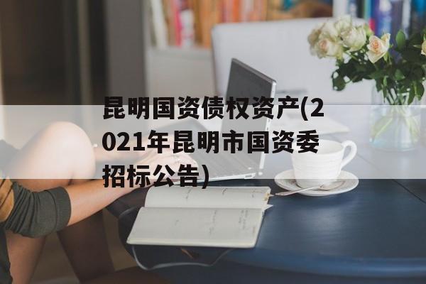 昆明国资债权资产(2021年昆明市国资委招标公告)