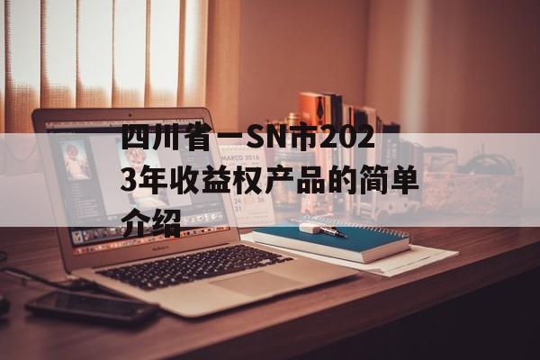 四川省一SN市2023年收益权产品的简单介绍