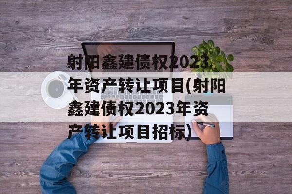 射阳鑫建债权2023年资产转让项目(射阳鑫建债权2023年资产转让项目招标)