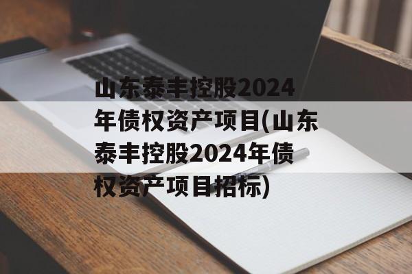 山东泰丰控股2024年债权资产项目(山东泰丰控股2024年债权资产项目招标)